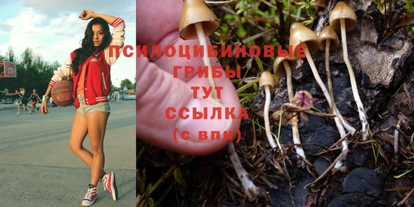 твердый Абинск