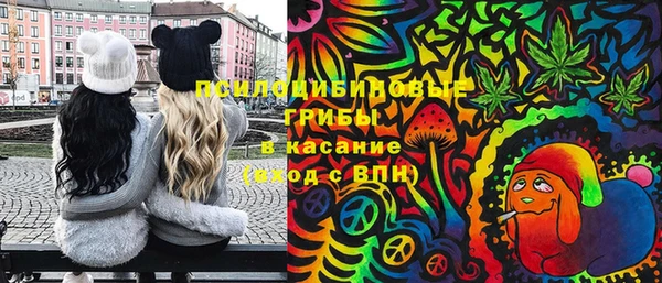 МДПВ Алексеевка