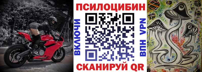 Галлюциногенные грибы Psilocybe  Череповец 