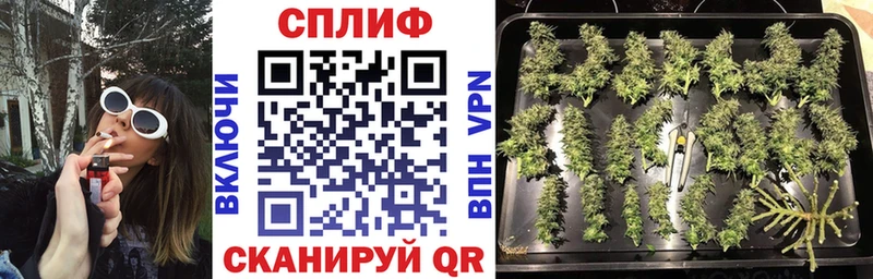где продают   Череповец  Бошки марихуана конопля 